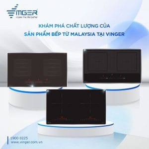 Bếp từ đôi Vinger