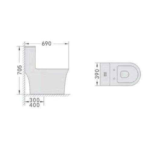 BỒN CẦU MỘT KHỐI AP-BC38A