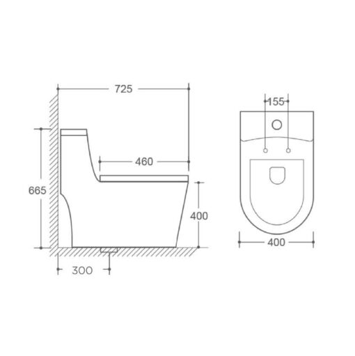 BỒN CẦU MỘT KHỐI AP-BC28A