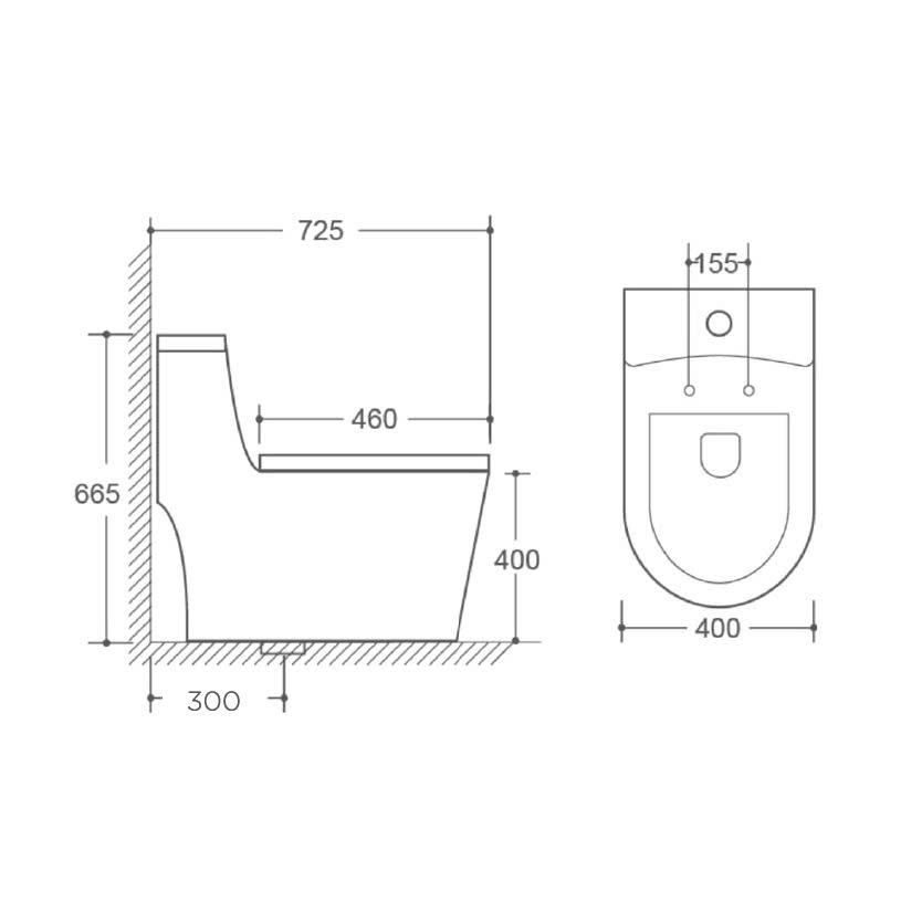 BỒN CẦU MỘT KHỐI AP-BC28A