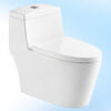 BỒN CẦU MỘT KHỐI AP-BC28A